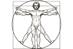 Grabado de un hombre de Vitruvio. Símbolo de la salud física, la anatomía y la energía vital.